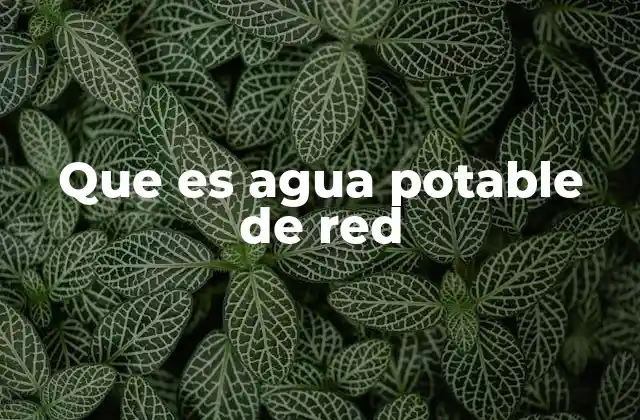 Que es Agua Potable de Red