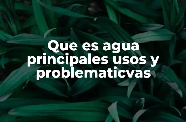 Que es Agua Principales Usos y Problematicvas