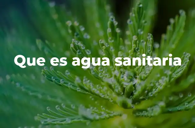 Que es Agua Sanitaria