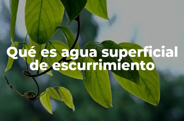 Qué es Agua Superficial de Escurrimiento 2 Cómo se forma el escurrimiento superficial en diferentes entornos