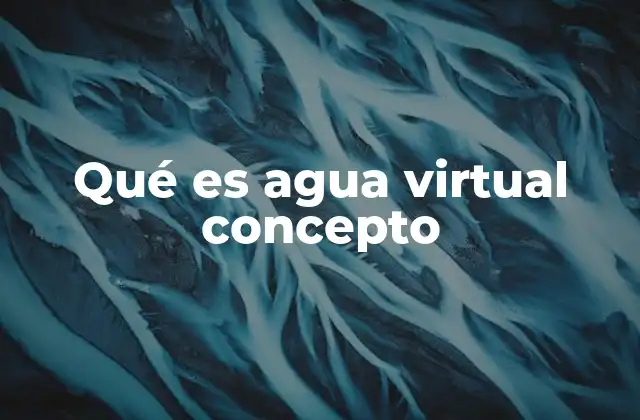 Qué es Agua Virtual Concepto