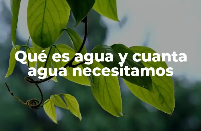 Qué es Agua y Cuanta Agua Necesitamos
