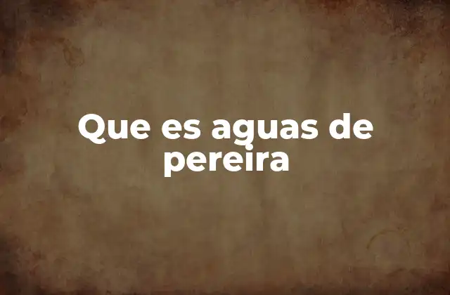 Que es Aguas de Pereira