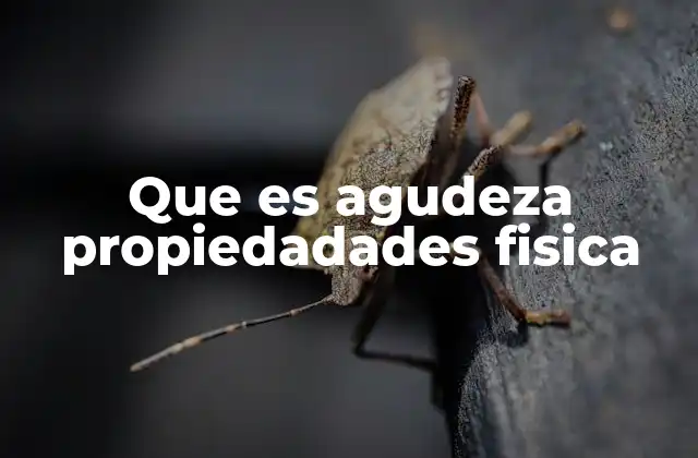 Que es Agudeza Propiedadades Fisica