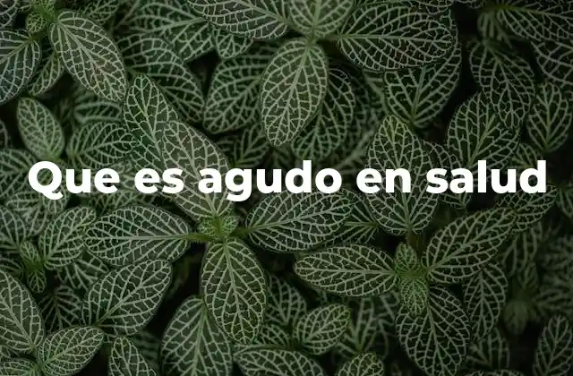 Que es Agudo en Salud