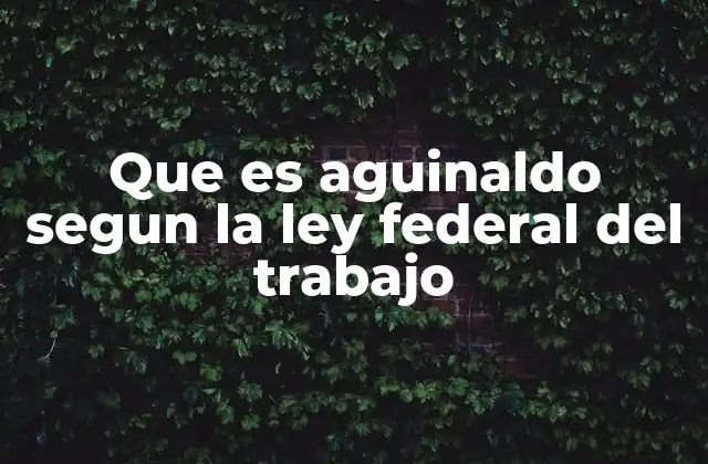 Que es Aguinaldo Segun la Ley Federal Del Trabajo