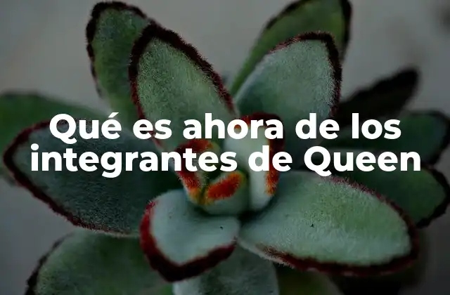 La evolución de los miembros de Queen tras su etapa en la banda