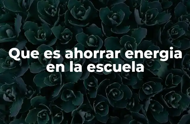 Que es Ahorrar Energia en la Escuela