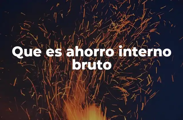 Que es Ahorro Interno Bruto