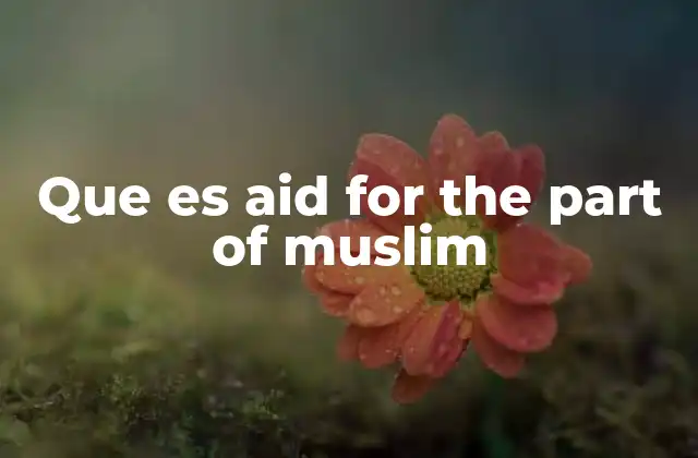 Que es Aid For The Part Of Muslim