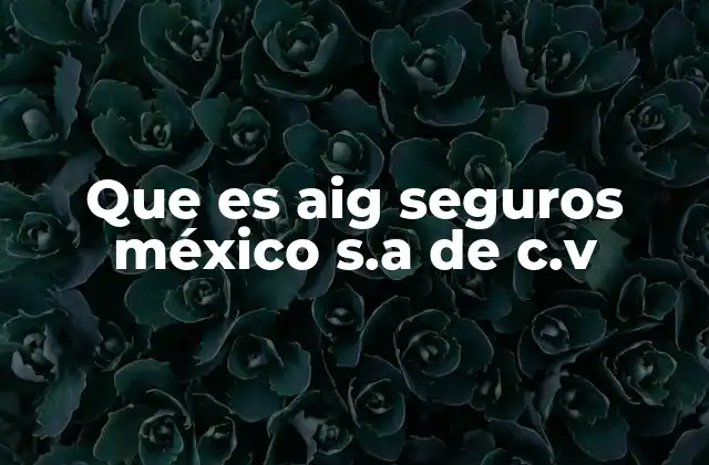 Que es Aig Seguros México S.a de C.v