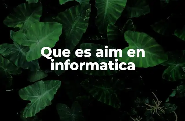 Que es Aim en Informatica