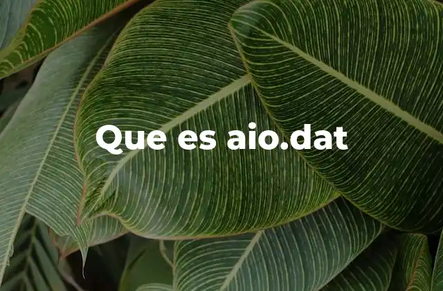 Que es Aio.dat 2 Orígenes y contextos donde aparece aio.dat