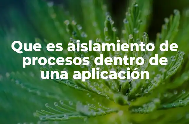 Que es Aislamiento de Procesos Dentro de una Aplicación 2 La importancia del aislamiento en arquitecturas modernas