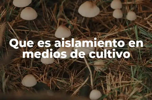 Que es Aislamiento en Medios de Cultivo