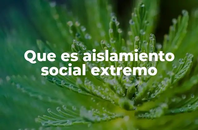 La soledad como reflejo del aislamiento social extremo