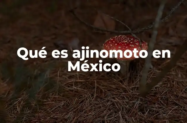 Qué es Ajinomoto en México