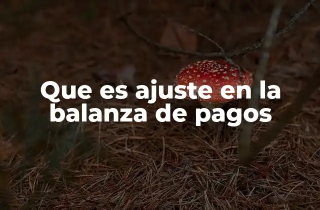 Que es Ajuste en la Balanza de Pagos