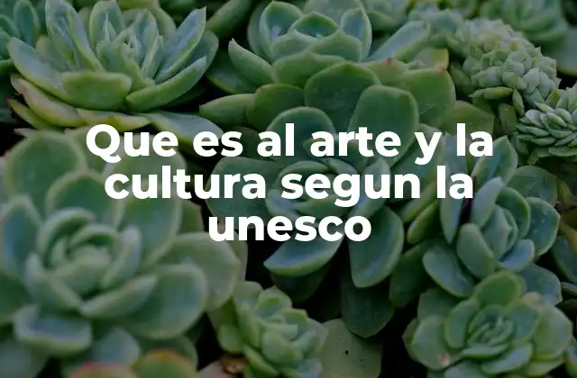 Que es Al Arte y la Cultura Segun la Unesco