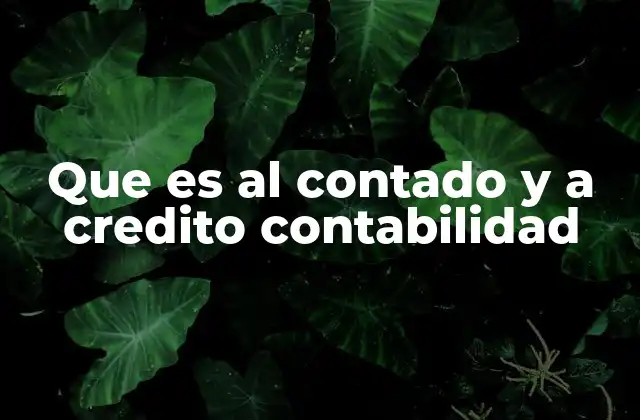 Que es Al Contado y a Credito Contabilidad