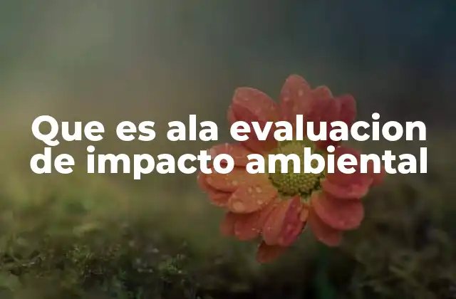 Que es Ala Evaluacion de Impacto Ambiental 2 El proceso de evaluación ambiental ante proyectos industriales