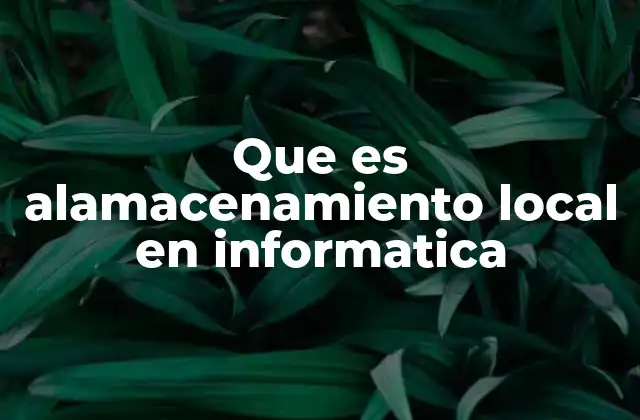 Que es Alamacenamiento Local en Informatica