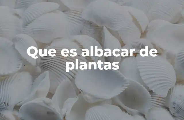 El trasplante de plantas y su importancia en la jardinería