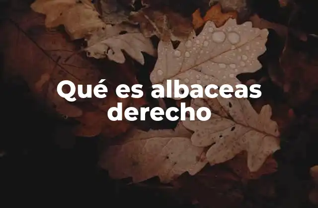 Qué es Albaceas Derecho