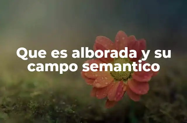 Que es Alborada y Su Campo Semantico