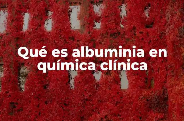Qué es Albuminia en Química Clínica