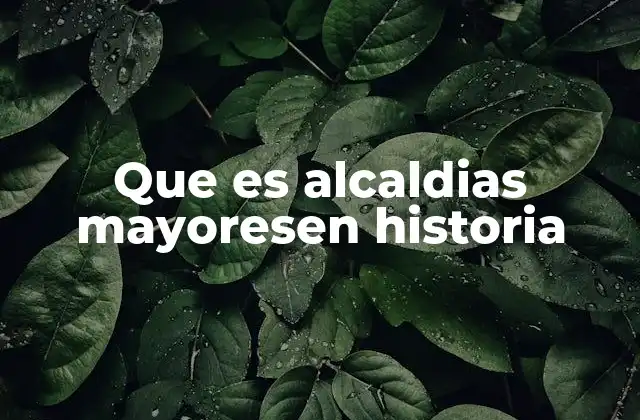 Que es Alcaldias Mayoresen Historia