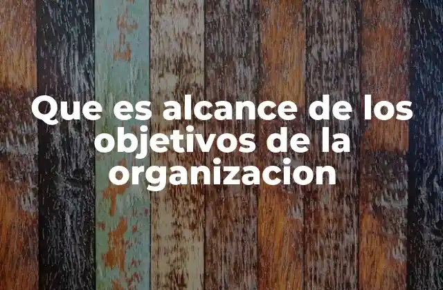Que es Alcance de los Objetivos de la Organizacion