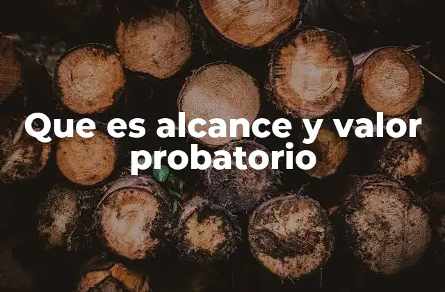 Que es Alcance y Valor Probatorio