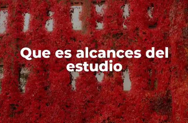 Que es Alcances Del Estudio