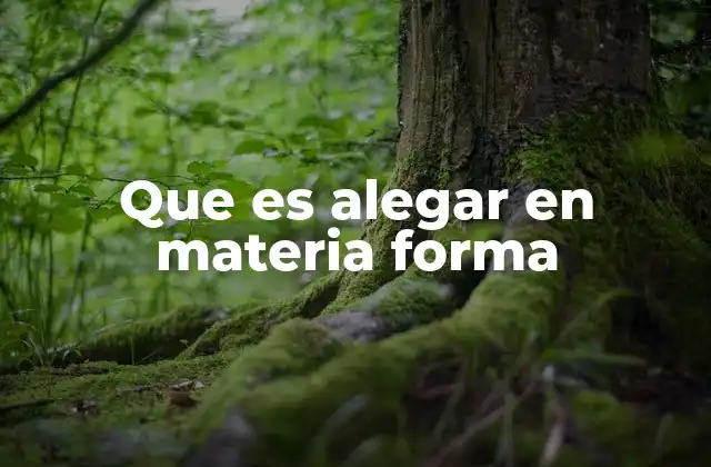 La importancia del alegato en materia forma en el derecho procesal