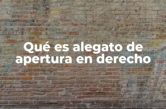 Qué es Alegato de Apertura en Derecho