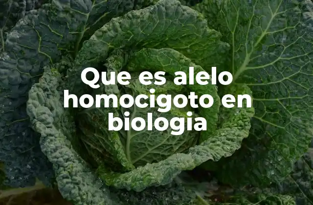 Que es Alelo Homocigoto en Biologia