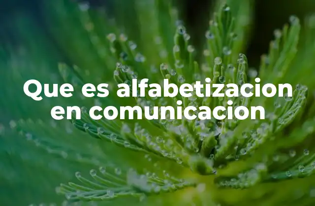 Que es Alfabetizacion en Comunicacion