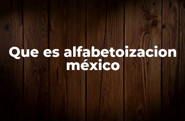Que es Alfabetoizacion México