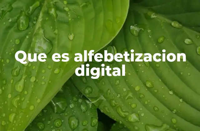 Que es Alfebetizacion Digital