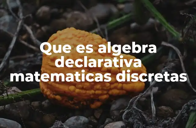 Que es Algebra Declarativa Matematicas Discretas