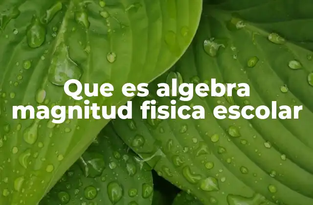 Que es Algebra Magnitud Fisica Escolar