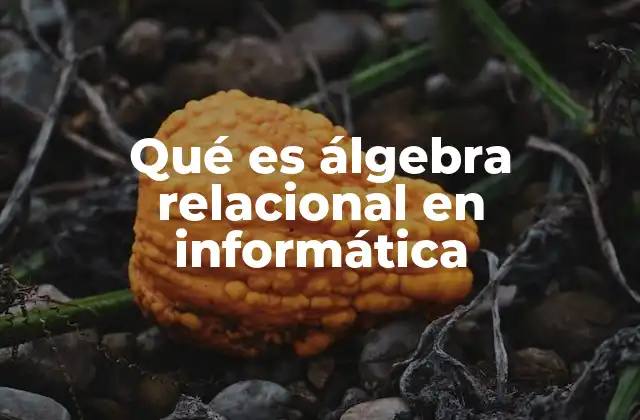 Qué es Álgebra Relacional en Informática