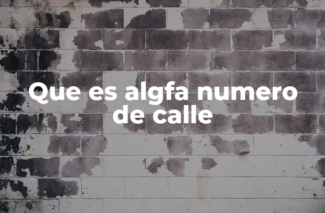Que es Algfa Numero de Calle