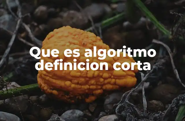 Que es Algoritmo Definicion Corta