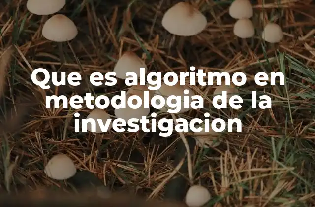 Que es Algoritmo en Metodologia de la Investigacion