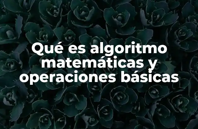 La importancia de las operaciones básicas en la construcción de algoritmos