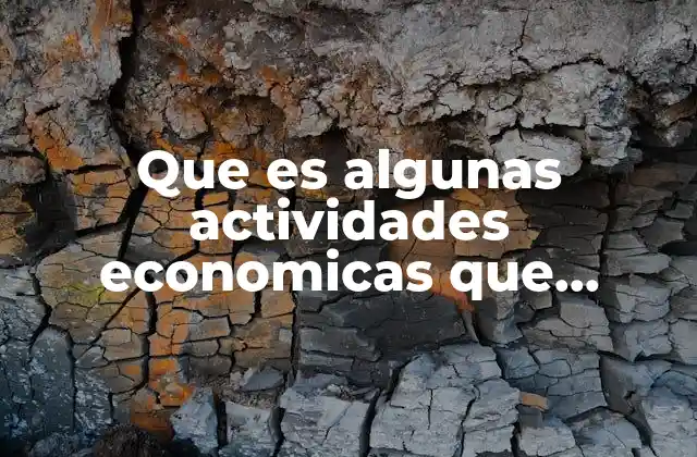 Que es Algunas Actividades Economicas que Realizan