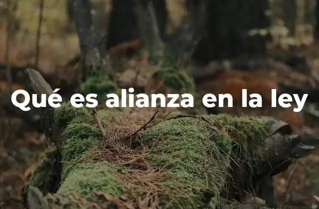Qué es Alianza en la Ley