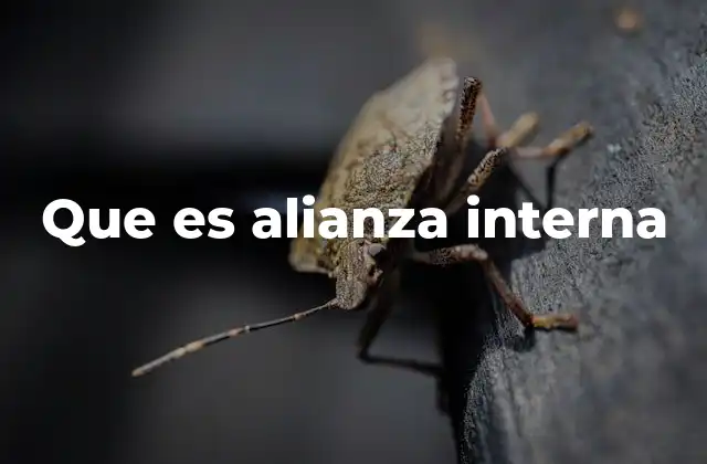 Que es Alianza Interna